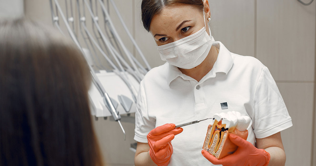 Photograph of a dental hygienist demonstrating on a tooth model the areas she will be cleaning, in front of a patient.